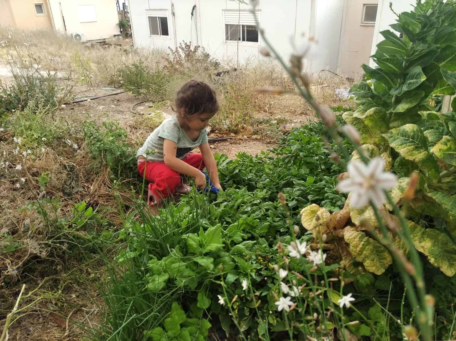 WhatsApp Image 2020-05-31 at 20.13.26