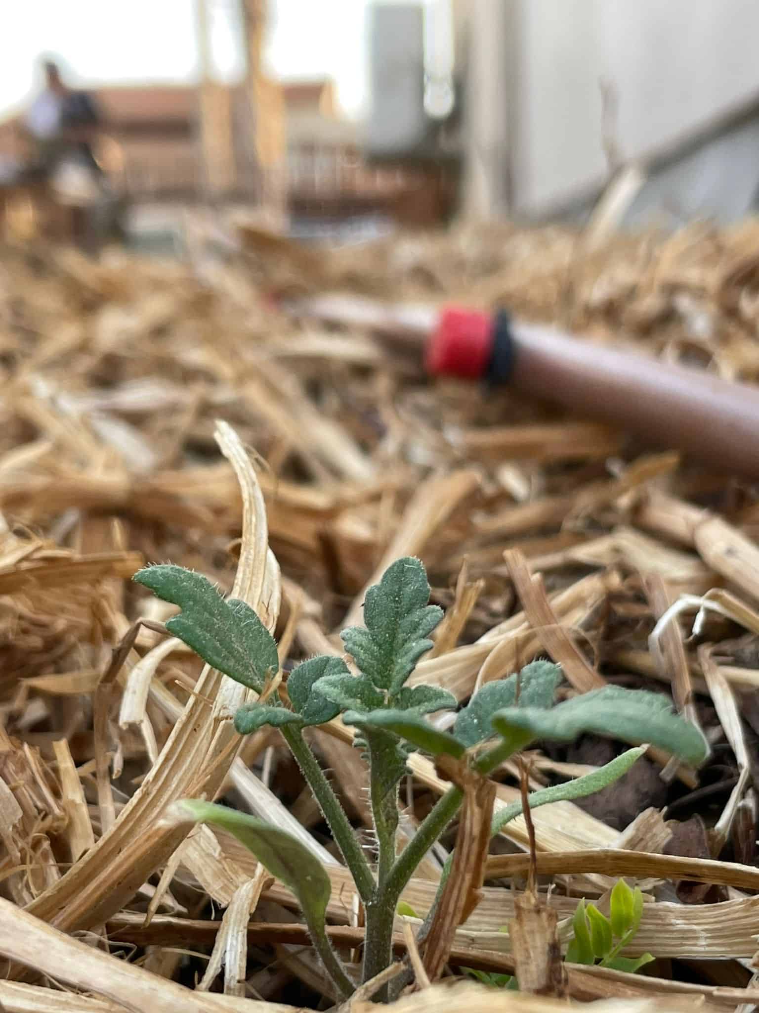 WhatsApp Image 2025-09-15 at 20.36.50